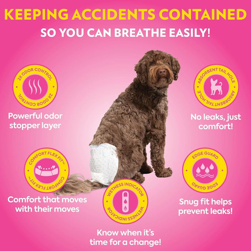 OUT! Pet Care Comfort-DRI Disposable Female Dog Diapers - Absorbent, Leak-Proof Fit, M/L - 14 Pack - Image 3